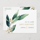 日付モダンを除いた植物性の緑の素朴な 案内ポストカード (正面/裏面)