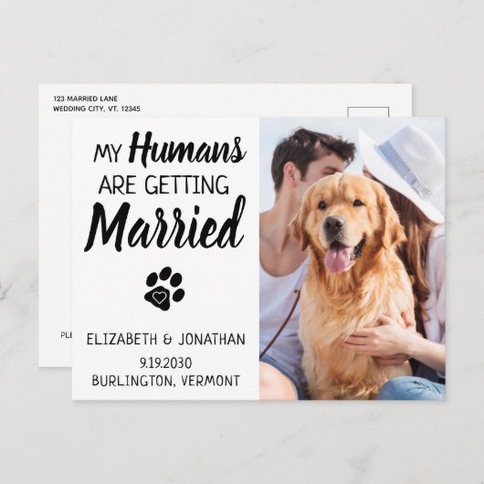 日付結婚を保存した犬の写真 案内ポストカード (正面/裏面)