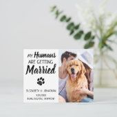 日付結婚を保存した犬の写真 案内ポストカード (スタンド正面)