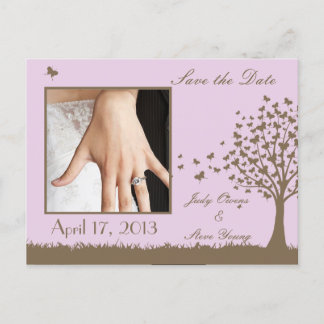 日付蝶の木の発表を保存 案内ポストカード