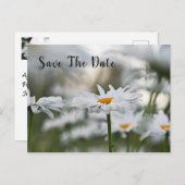 日付誕生日の発表葉書の保存 案内ポストカード (正面/裏面)