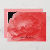 日付10周年記念パーティーサンゴバラの保存 案内ポストカード (正面/裏面)