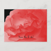 日付10周年記念パーティーサンゴバラの保存 案内ポストカード (正面)