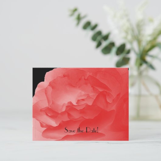 日付10周年記念パーティーサンゴバラの保存 案内ポストカード (スタンド正面)