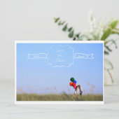 日付5x7の郵便はがきの一見を救って下さい セーブザデート (スタンド正面)