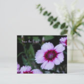 日付60番目の誕生祝いはがきを保存 案内ポストカード (スタンド正面)