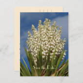 日付80番目の誕生祝いはがきを保存 案内ポストカード (正面/裏面)