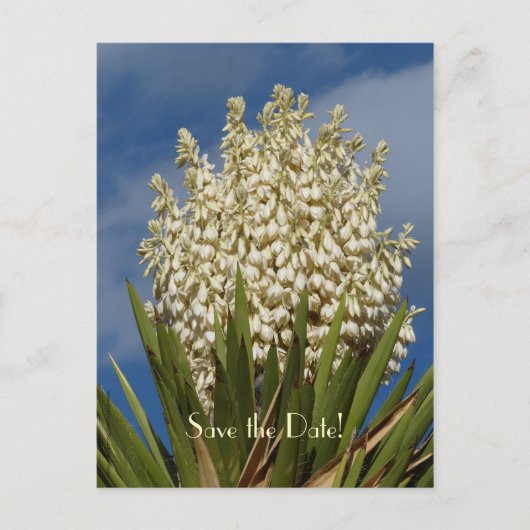 日付80番目の誕生祝いはがきを保存 案内ポストカード (正面)