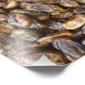 日付 フォトプリント            (角)