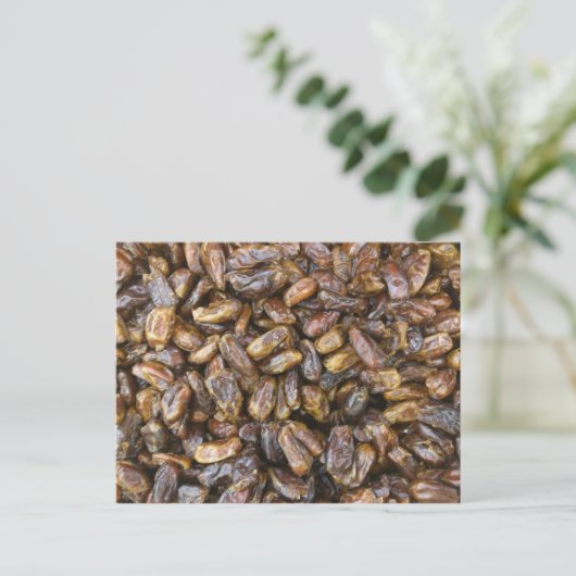 日付 ポストカード (スタンド正面)