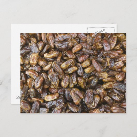 日付 ポストカード (正面/裏面)