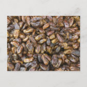 日付 ポストカード (正面)