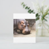 日保 ポストカード (スタンド正面)