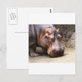 日保 ポストカード (正面/裏面)