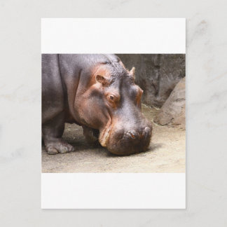 日保 ポストカード