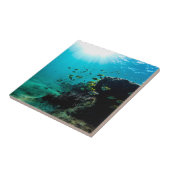 日光および熱帯魚 タイル (側面)