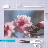 日光でバックライトを当てられるピンクの桜 薄葉紙 (クラフト)