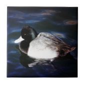 日光との浮遊 タイル (正面)