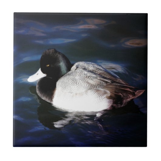 日光との浮遊 タイル (正面)