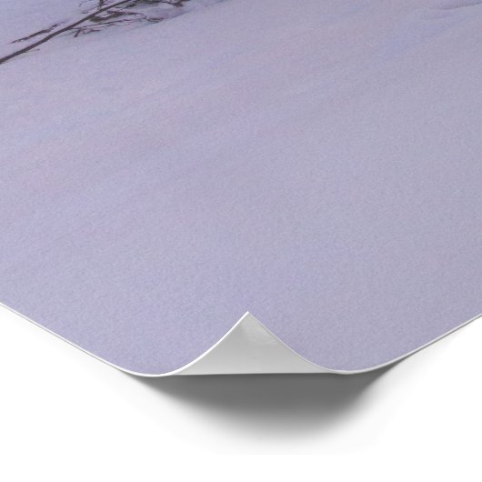 日光とトウヒの森 ポスター (角)