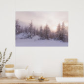 日光とトウヒの森 ポスター (キッチン)