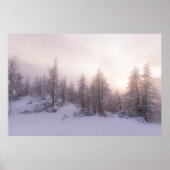 日光とトウヒの森 ポスター (正面)