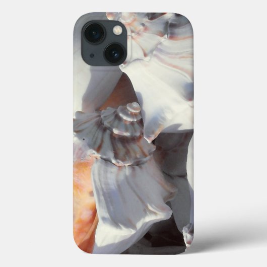 日光と影の中の貝殻 Case-Mate iPhoneケース (裏面)