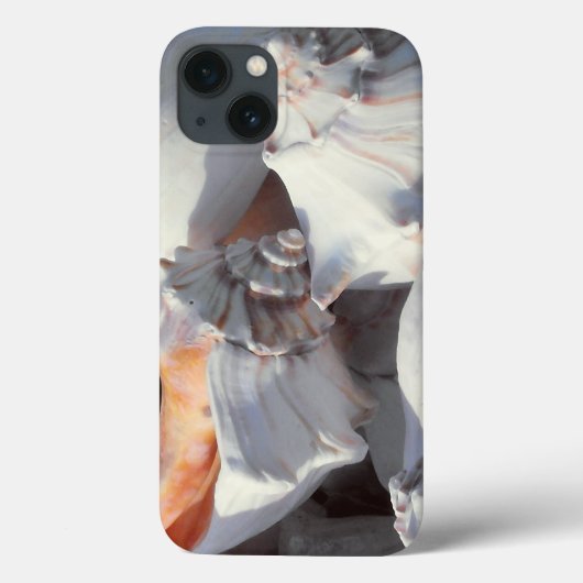 日光と影の中の貝殻 Case-Mate iPhoneケース (裏面)