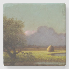 日光と影：ニューベリーの湿地 ストーンコースター