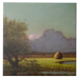 日光と影：ニューベリーの湿地 タイル