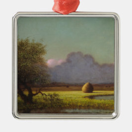 日光と影：ニューベリーの湿地 メタルオーナメント