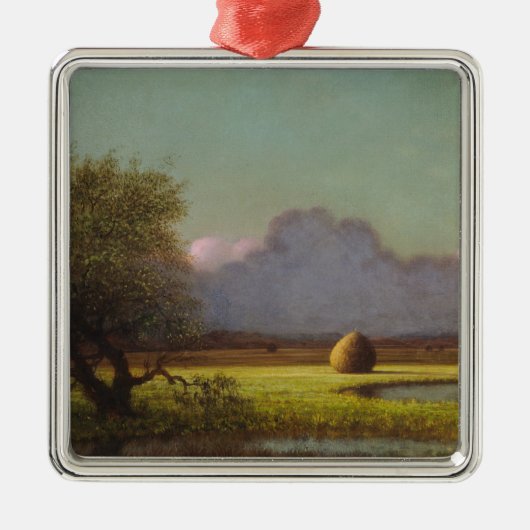 日光と影：ニューベリーの湿地 メタルオーナメント (正面)