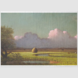 日光と影:ニューベリーの湿地 薄葉紙