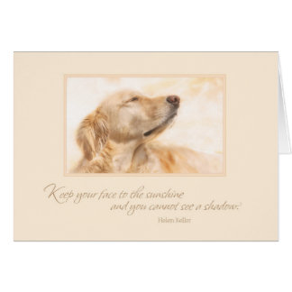 日光にあなたの顔を保って下さい