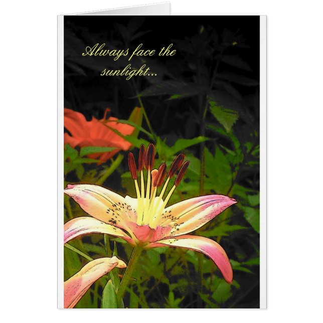 日光に直面して下さい (正面)