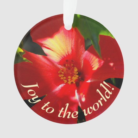 日光に赤いハイビスカスの花 オーナメント (正面)