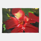 日光に赤いハイビスカスの花 キッチンタオル (横)