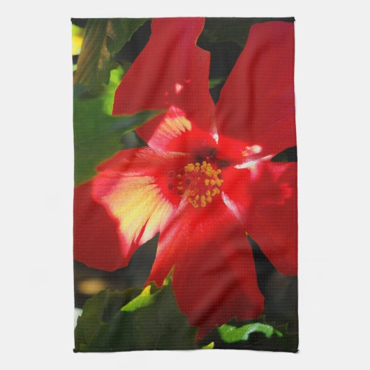 日光に赤いハイビスカスの花 キッチンタオル (縦)
