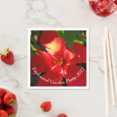 日光に赤いハイビスカスの花 スタンダードカクテルナプキン (インサイチュ)