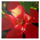 日光に赤いハイビスカスの花 タイル (正面)