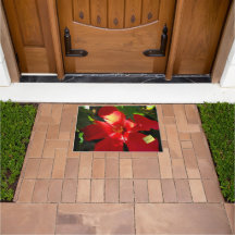 日光に赤いハイビスカスの花