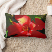 日光に赤いハイビスカスの花 ランバークッション (ブランケット)