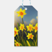 日光に輝く花々: 全盛りの黄金の水仙 ギフトタグ (裏面)