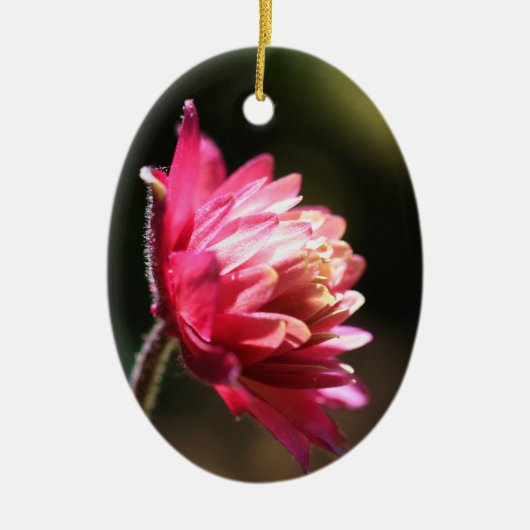 日光のオーナメントの赤い花 セラミックオーナメント (正面)