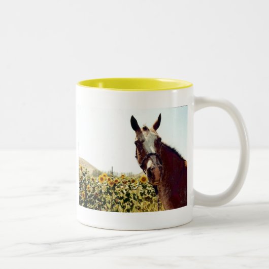 日光のコップを持って下さい! ツートーンマグカップ (右)