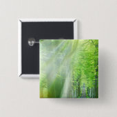 日光のシャフト 缶バッジ (正面&裏面)