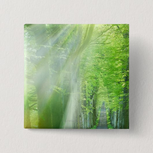 日光のシャフト 缶バッジ (正面)