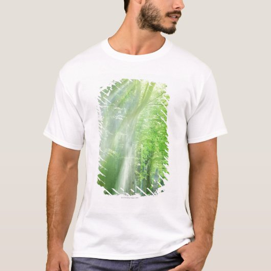 日光のシャフト Tシャツ (正面)