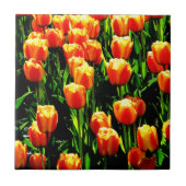 日光のチューリップ タイル (正面)