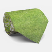 日光のネックタイで揺れる ネクタイ (ロール)